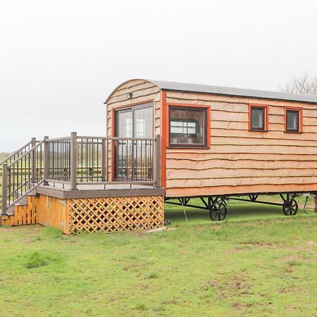 Tal Sarn Shepherd Hut Llanfairpwllgwyngyll Zewnętrze zdjęcie
